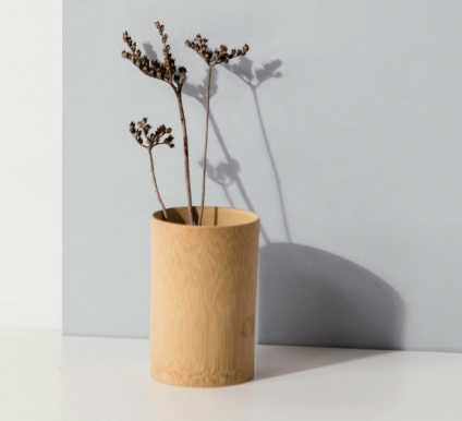 Tree Plant Design 2023